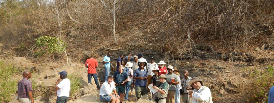 Mining Index Zimbabwe