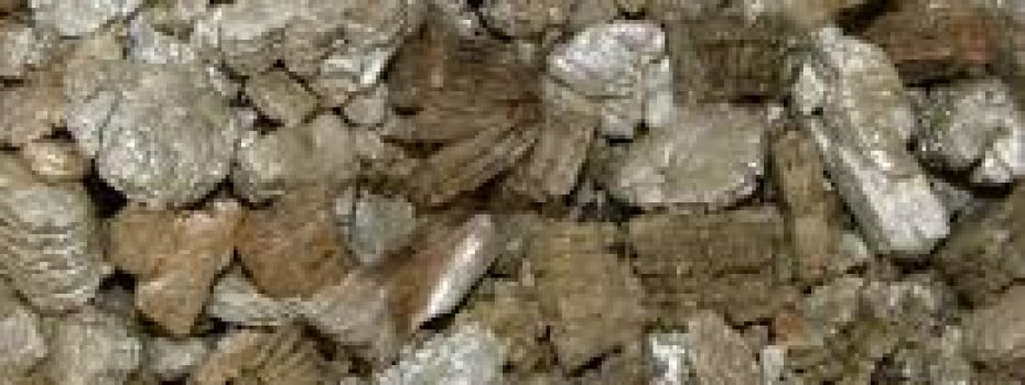 Mining Index Zimbabwe