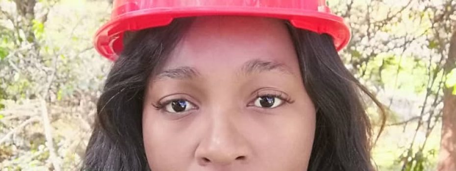 Mining Index Zimbabwe