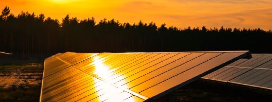 Mining Index Zimbabwe