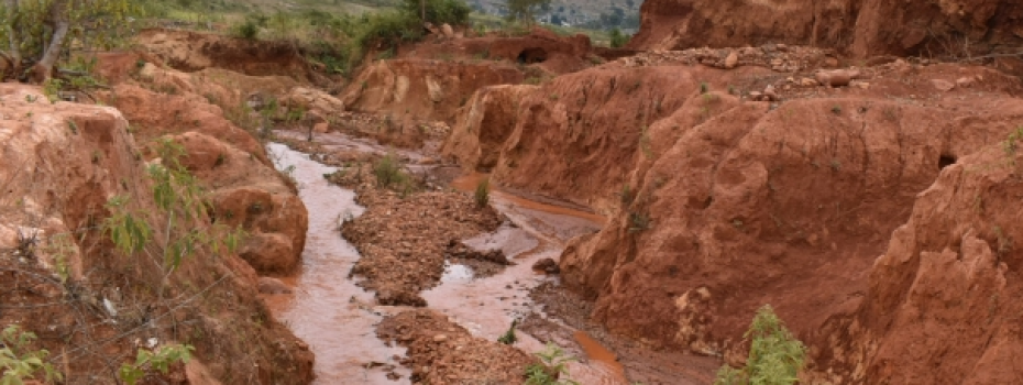 Mining Index Zimbabwe