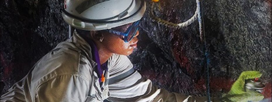Mining Index Zimbabwe