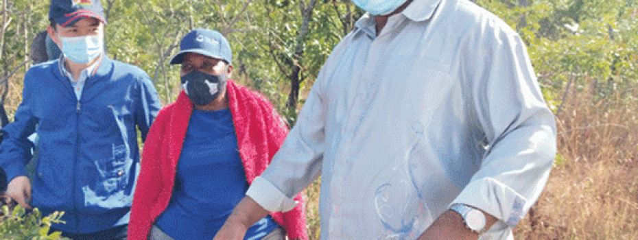 Mining Index Zimbabwe