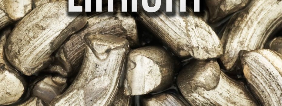 Mining Index Zimbabwe