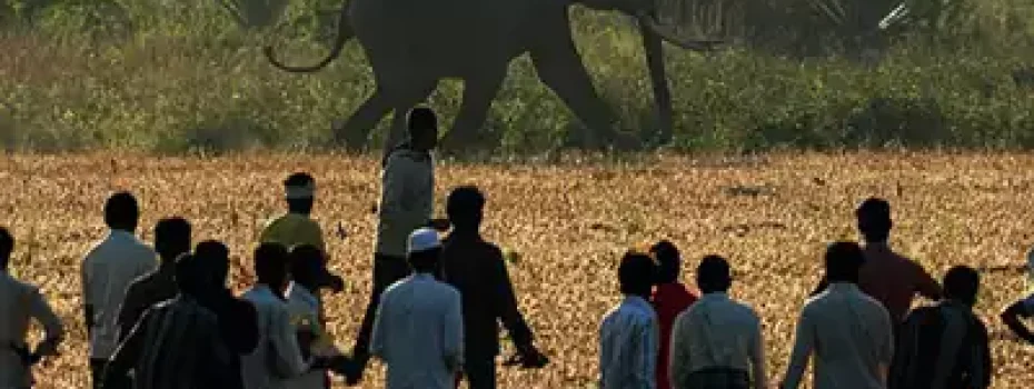 Mining Index Zimbabwe