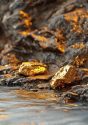 Mining Index Zimbabwe