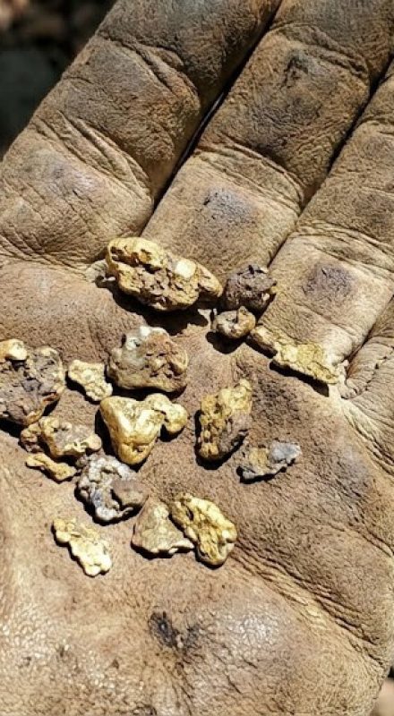 Mining Index Zimbabwe