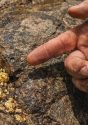 Mining Index Zimbabwe