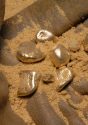Mining Index Zimbabwe
